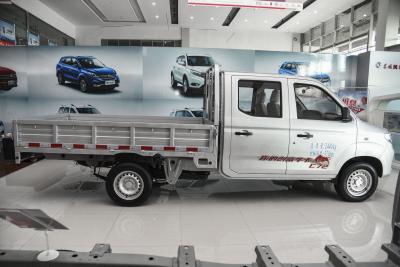2021款 1.6L LV0真牛版加长版-外观-图片-有驾