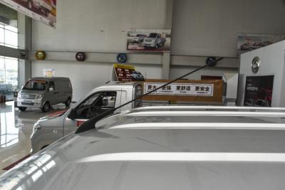 2021款 1.6L LV0真牛版加长版-外观-图片-有驾