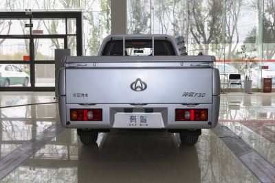2022款 1.5L后浪版长轴DAM15KL-外观-图片-有驾