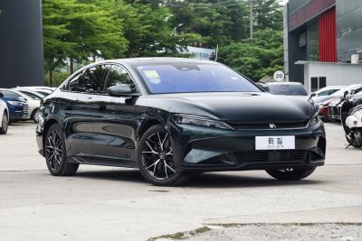 2022款 EV 610KM四驱千山翠限量版-外观-图片-有驾