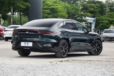 2022款 EV 610KM四驱千山翠限量版-外观-图片-有驾