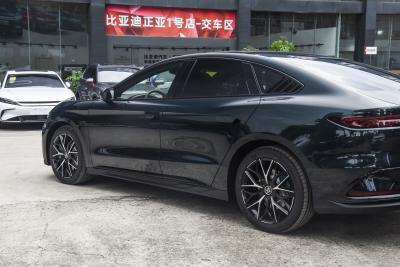 2022款 EV 610KM四驱千山翠限量版-外观-图片-有驾