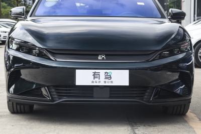 2022款 EV 610KM四驱千山翠限量版-外观-图片-有驾