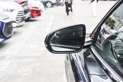 2022款 EV 610KM四驱千山翠限量版-外观-图片-有驾
