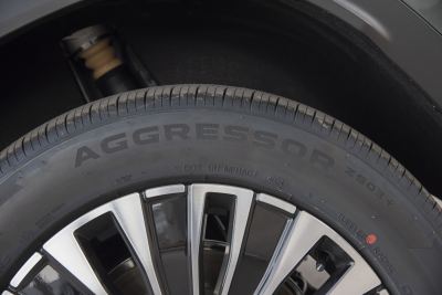 2025款 1.5T 116km 豪华型 5座-外观-图片-有驾