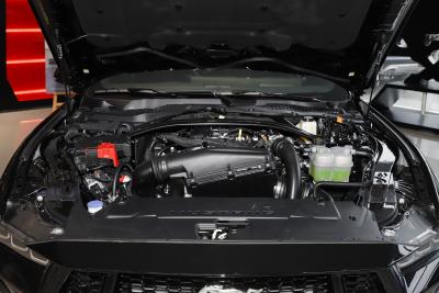 2024款 2.3T EcoBoost 硬顶性能版 -外观-图片-有驾