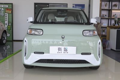 2022款 小野猫版 401km 旗舰型 三元锂-外观-图片-有驾