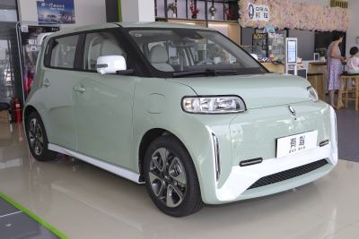 2022款 小野猫版 401km 旗舰型 三元锂-外观-图片-有驾