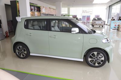 2022款 小野猫版 401km 旗舰型 三元锂-外观-图片-有驾