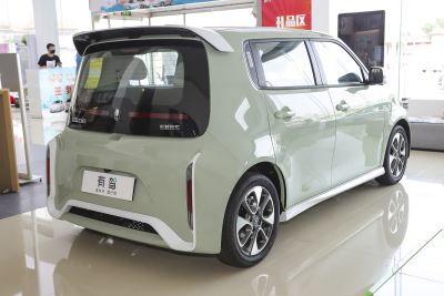 2022款 小野猫版 401km 旗舰型 三元锂-外观-图片-有驾
