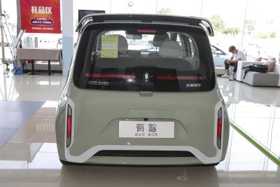 2022款 小野猫版 401km 旗舰型 三元锂-外观-图片-有驾