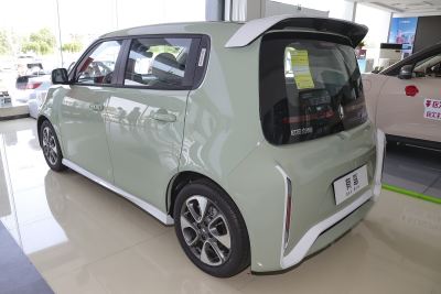 2022款 小野猫版 401km 旗舰型 三元锂-外观-图片-有驾