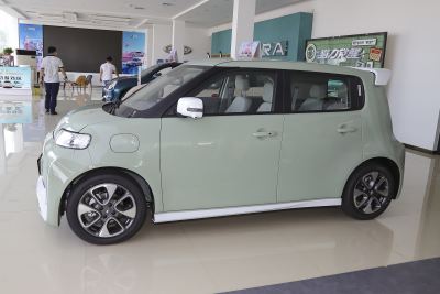 2022款 小野猫版 401km 旗舰型 三元锂-外观-图片-有驾