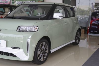 2022款 小野猫版 401km 旗舰型 三元锂-外观-图片-有驾