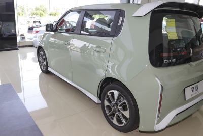 2022款 小野猫版 401km 旗舰型 三元锂-外观-图片-有驾