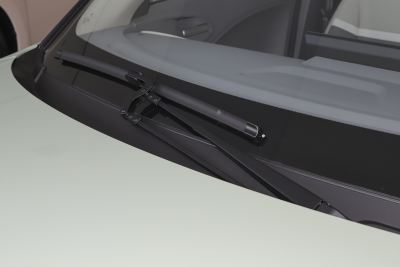2022款 小野猫版 401km 旗舰型 三元锂-外观-图片-有驾