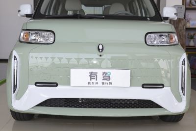 2022款 小野猫版 401km 旗舰型 三元锂-外观-图片-有驾