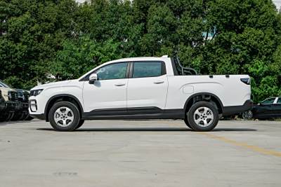 2025款 520km 四驱长箱 大力金刚-外观-图片-有驾