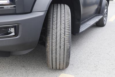 2026款 2.0TD DCT 骏马版  XWD发现-外观-图片-有驾