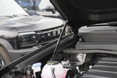 2026款 2.0TD DCT 骏马版  XWD发现-外观-图片-有驾