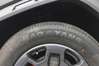 2026款 2.0TD DCT 骏马版  XWD发现-外观-图片-有驾