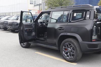 2026款 2.0TD DCT 骏马版  XWD发现-外观-图片-有驾