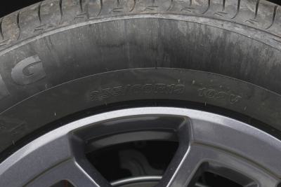 2026款 2.0TD DCT 骏马版  XWD发现-外观-图片-有驾