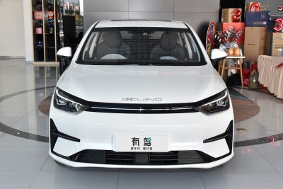 2024款 R500 标准出行版-外观-图片-有驾