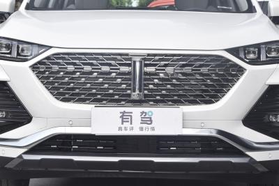 2022款 1.5T DHT超大杯-外观-图片-有驾