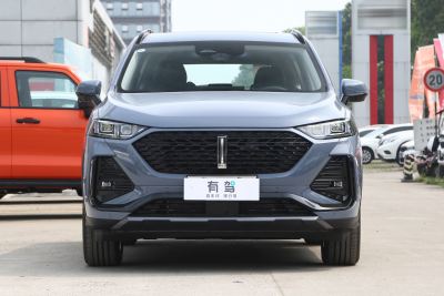 2022款 1.5T DHT超大杯-外观-图片-有驾