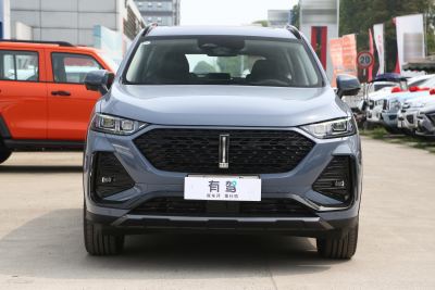 2022款 1.5T DHT超大杯-外观-图片-有驾