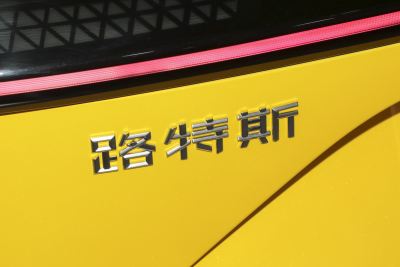 2025款 600 行政版-外观-图片-有驾