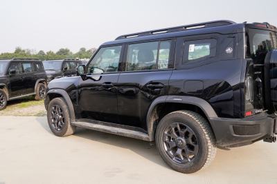 2026款 2.0TD XWD 征服-外观-图片-有驾