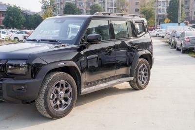 2026款 2.0TD XWD 征服-外观-图片-有驾