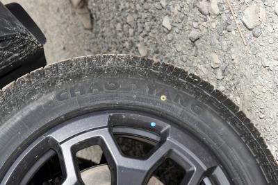 2026款 2.0TD XWD 征服-外观-图片-有驾