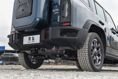 2026款 2.0TD XWD 征服-外观-图片-有驾