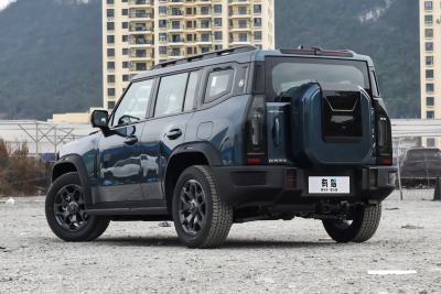 2026款 2.0TD XWD 征服-外观-图片-有驾