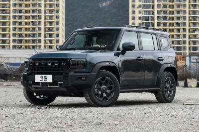 2026款 2.0TD XWD 征服-外观-图片-有驾