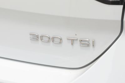 2025款 改款二 300TSI DSG两驱辰光版-外观-图片-有驾