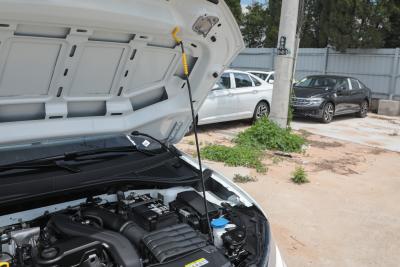 2025款 改款二 300TSI DSG两驱辰光版-外观-图片-有驾