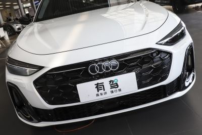 2025款 2.0T 低功率-外观-图片-有驾