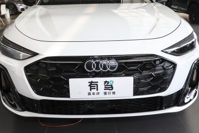 2025款 2.0T 低功率-外观-图片-有驾