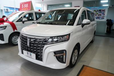 2025款 320km 豪华版 9座-外观-图片-有驾