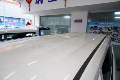 2025款 320km 豪华版 9座-外观-图片-有驾