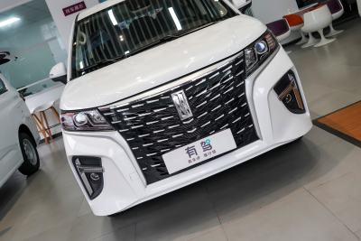 2025款 320km 豪华版 9座-外观-图片-有驾