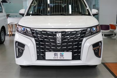 2025款 320km 豪华版 9座-外观-图片-有驾