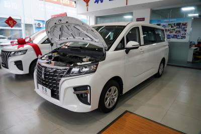 2025款 320km 豪华版 9座-外观-图片-有驾