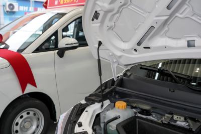 2025款 320km 豪华版 9座-外观-图片-有驾