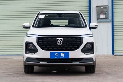 2021款 全球车周年纪念版 1.5T CVT尊贵互联型 6座-外观-图片-有驾