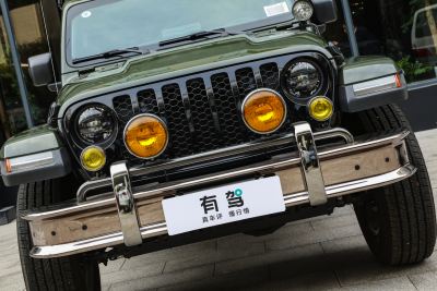 2024款 3.6L 霸王龙行者系列旅行车-外观-图片-有驾